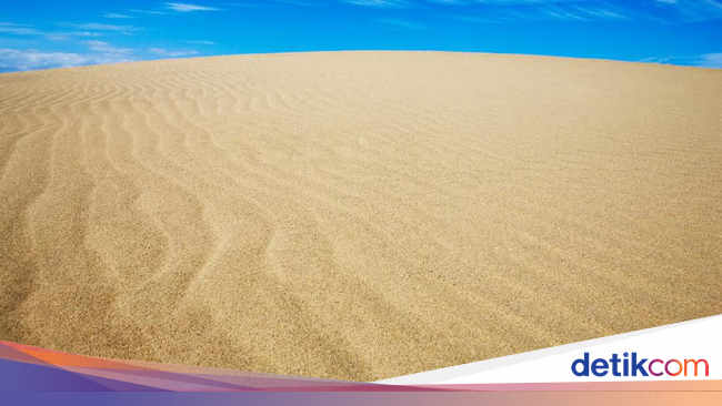 Foto: Gurun Pasir Jepang Vs Turis Nakal