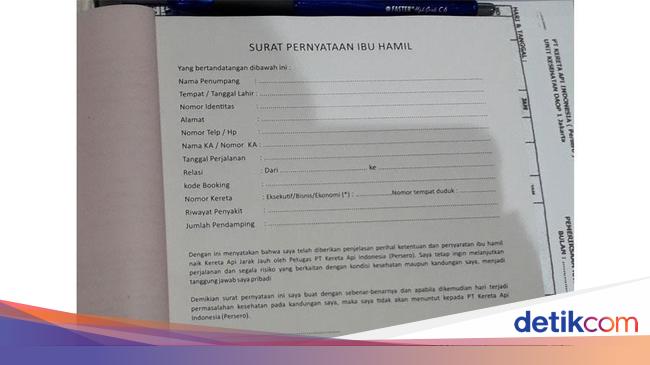 Ibu Hamil Mau Mudik Wajib Bikin Surat Pernyataan Seperti Ini Contohnya