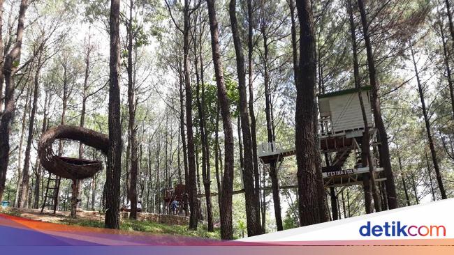 Puncak Becici: Daya Tarik, Jam Buka, Alamat, dan Harga Tiket Masuk 2024