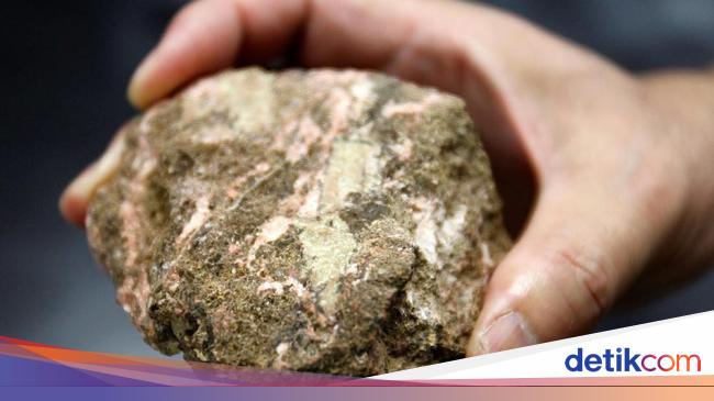 How Much Is the Price of Rare Land Treasures of the Republic of Indonesia?