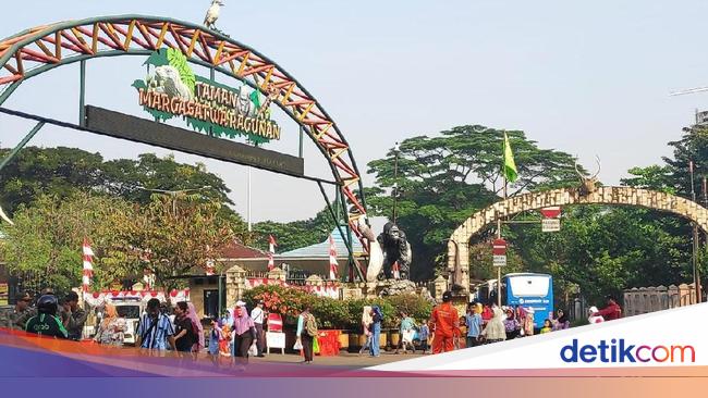 Hari Kedua Idul Fitri 1440 H Warga Ramai Ke Kebun Binatang Ragunan