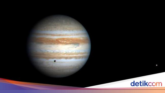 Is there Life within the rings of Jupiter and Saturn?  These are the conclusions