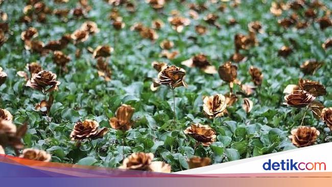 Karya Eceng Gondok Berbunga Emas Siti Adiyati Diboyong Ke Singapura