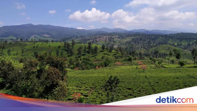 Foto Pemandangan Cantik dari Bandung Selatan Foto Pemandangan Cantik dari Bandung Selatan