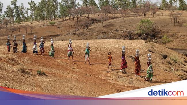 49 Orang Tewas Akibat Gelombang Panas Di India Dalam 24 Jam