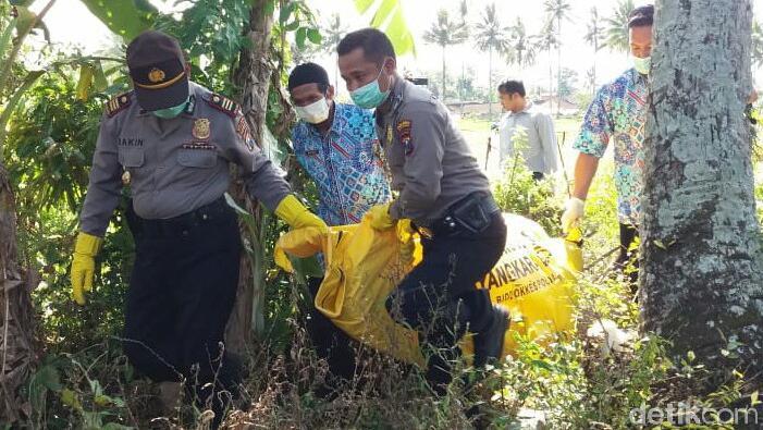 Identitas Mayat Laki-laki Yang Ditemukan Di Persawahan Banyuwangi Terungkap