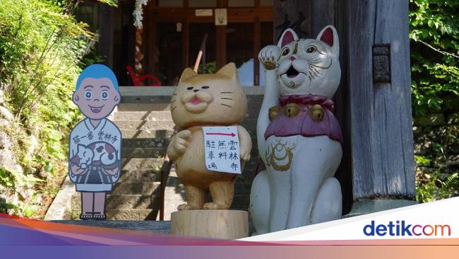 Foto Kuil Kucing Yang Punya Cerita Horor Di Jepang