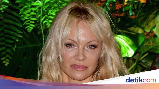 Pamela Anderson Reveals Reasons for Divorcing Marriage Up to 6 Times