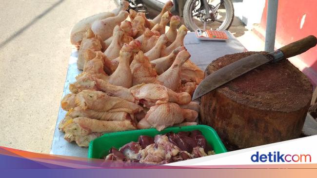 Ini Perbedaan Peternak Dan Pedagang Saat Harga Ayam Anjlok Ini Perbedaan Peternak Dan Pedagang Saat Harga Ayam Anjlok