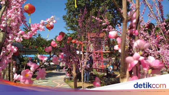 Libur Sekolah Di Blitar Ada Istana Sakura Libur Sekolah Di Blitar Ada Istana Sakura