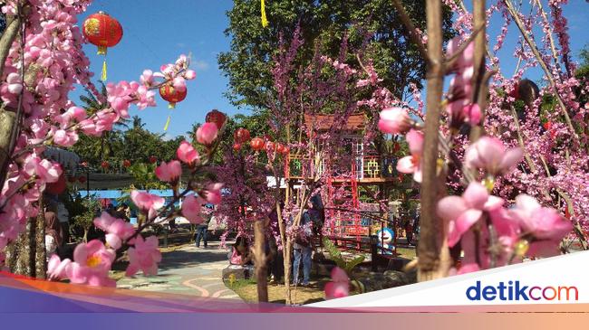 Libur Sekolah Di Blitar Ada Istana Sakura