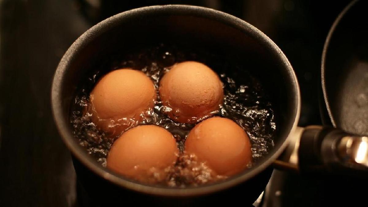 Mitos atau Fakta: Makan Telur Setiap Hari Bikin Kolesterol Naik?