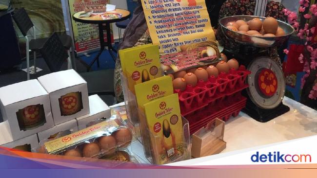 Jualan Telur Ayam Bisa Dapat Omzet Puluhan Juta Tiap Bulan