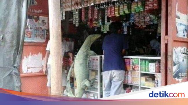 Kocaknya Meme Biawak Panjat Pagar hingga Penjual Es Krim 