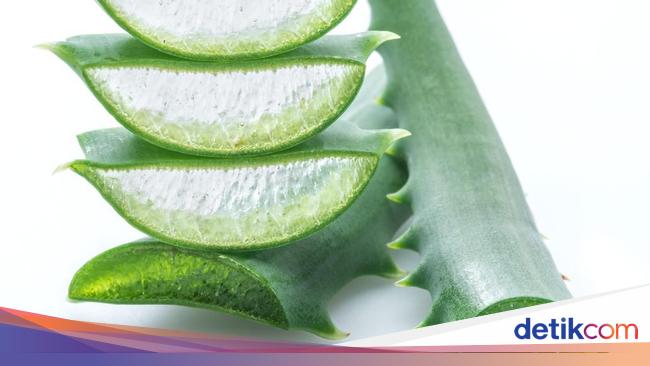 Cara Membuat Hand Sanitizer Alami Mudah Dan Bahannya Gampang Didapat Cara Membuat Hand Sanitizer Alami Mudah Dan Bahannya Gampang Didapat