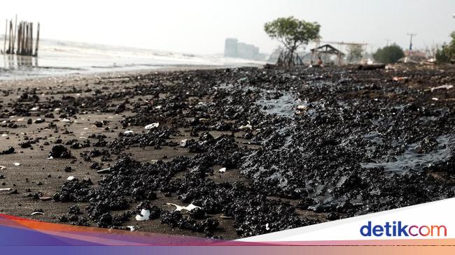 Sejumlah Pantai Di Karawang Ditutup Gegara Tercemar Tumpahan