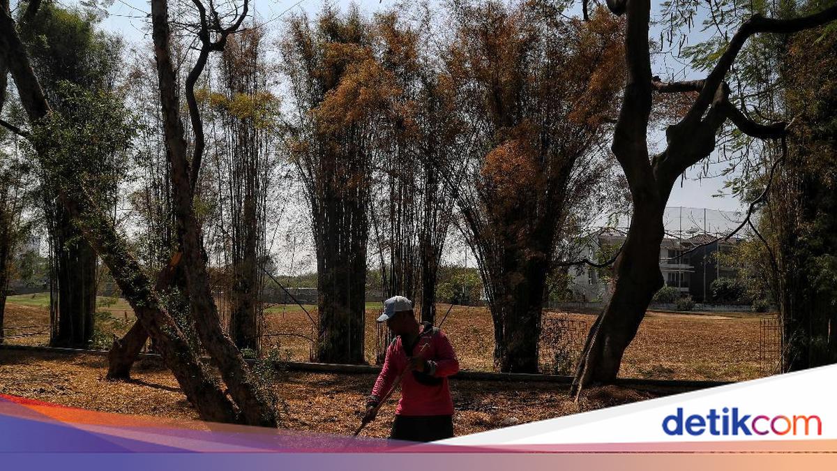 Cegah Kekeringan Jelang Kemarau, Warga DKI Diimbau Tak Bakar Sampah-Hemat Air