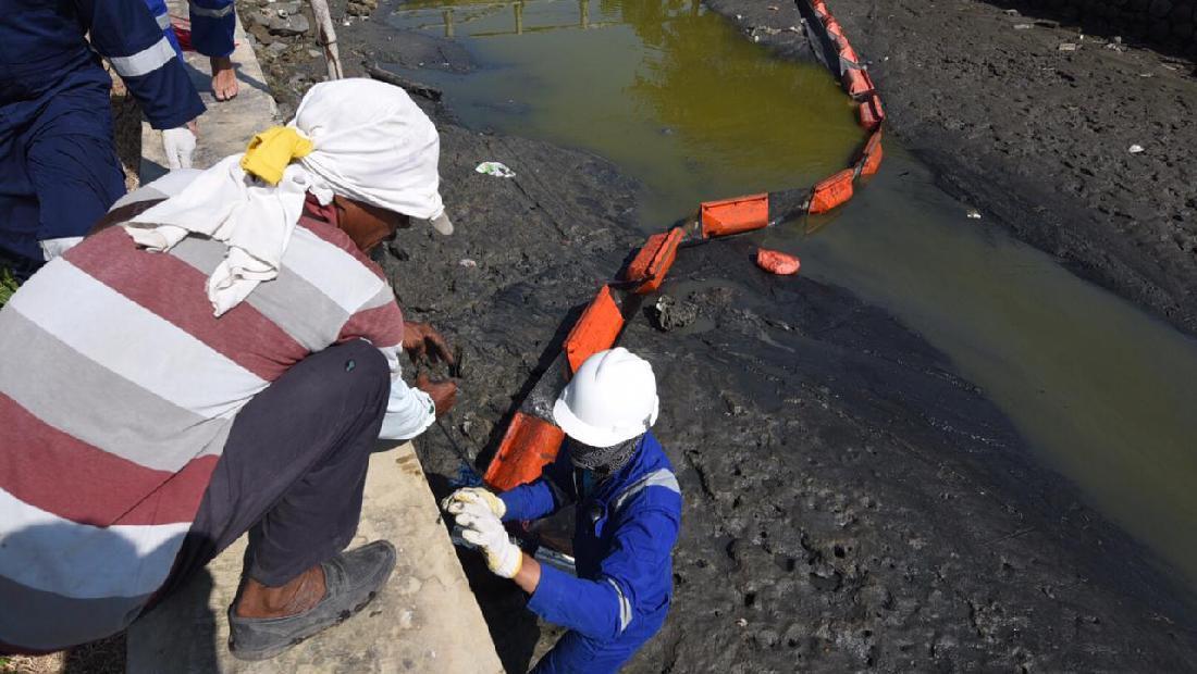 Pertamina Bersihkan Pantai Laut Jawa Dari Tumpahan Minyak