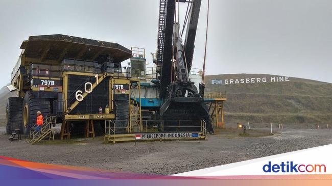 Rini Sebut Kapasitas Smelter Freeport Bakal Jadi 4 Kali Lipat - detikFinance