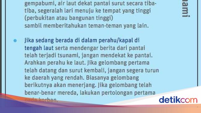 Ini Langkah Langkah Yang Harus Dilakukan Jika Terjadi Tsunami