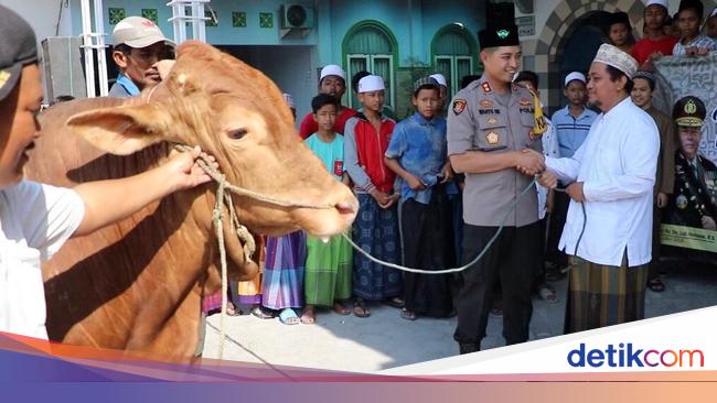 8 Amalan Di Bulan Dzulhijjah Dari Puasa Arafah Haji Hingga Qurban