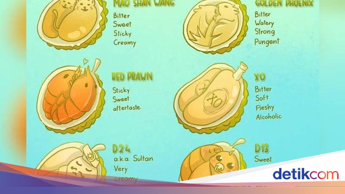 Seniman Ini Buat Infografis Lucu Berisi Jenis dan Rasa Durian Populer