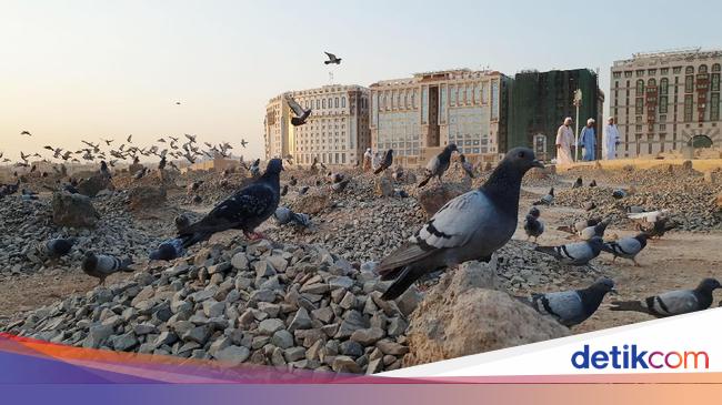 Hadits Tentang Kematian Dan Manfaatnya Jika Banyak Mengingatnya Hadits Tentang Kematian Dan Manfaatnya Jika Banyak Mengingatnya