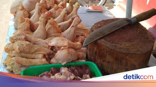 Harga Daging Ayam Broiler Di Tingkat Peternak Blitar Kembali Anjlok Harga Daging Ayam Broiler Di Tingkat Peternak Blitar Kembali Anjlok