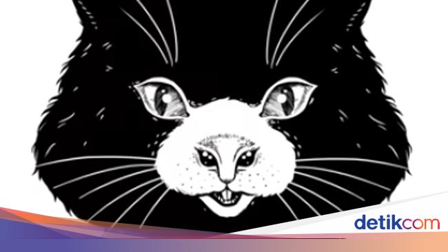 Tes Kepribadian Kucing Atau Tikus Yang Pertama Kamu Lihat Di Gambar Ini