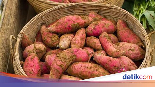 Jangan Dikupas Ternyata Kulit Ubi Jalar Punya Banyak Khasiat