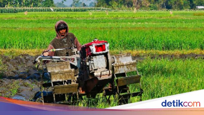 Indonesia Masuk 5 Besar Eksportir Pertanian Terbaik Di Dunia