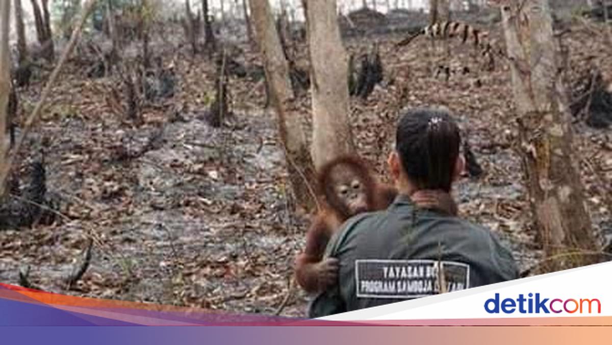 Qizil külotli porno xotini Pantiesdagi qizning erotik fotosuratlari