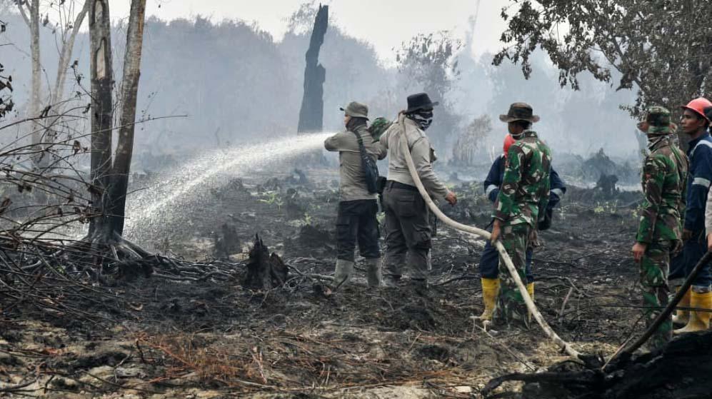 BPNB: Karhutla Total 328 Ribu Ha, Sebagian Sulit Padam Karena Gambut