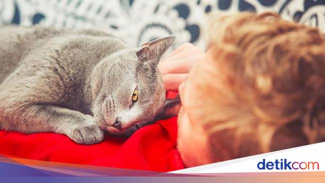 So Sweet Pengantin Pria Jadikan Kucingnya Best Man Di Hari Pernikahan