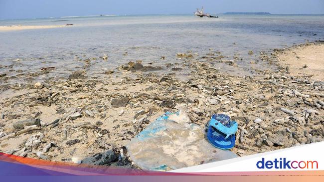 Tentang Rencana Pramono Anung Bikin Wisata Pulau Kucing di Kepulauan Seribu