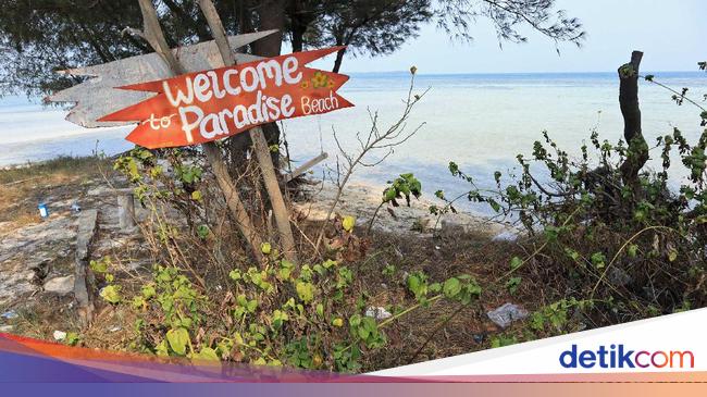 Tidung Kecil Diincar Jadi Destinasi Wisata Kucing