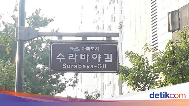 Kosakata Bahasa Korea Sehari Hari Untuk Pemula