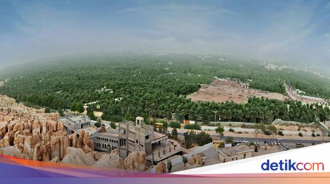 Sudah Tahu Arab Saudi Punya Oasis Terbesar Di Dunia