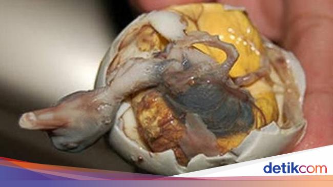 Balut, Telur Isi Embrio Bebek yang Kontroversi Tapi Tetap Disukai