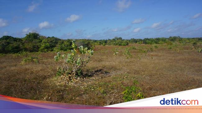 Kisah Misterius Pulau Paling Selatan Indonesia