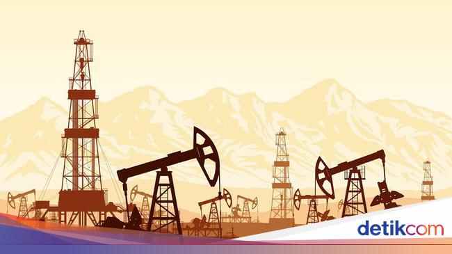 This is the List of the Largest Indonesian Oil and Gas Producers, What Number is Pertamina?