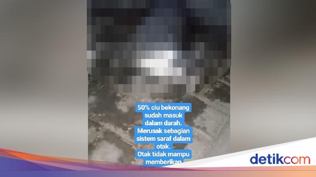 Bukan Dicekoki Ciu Kucing Video Viral Ternyata Diminumi Air Kelapa Muda