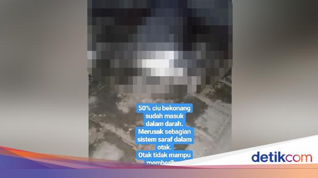 Bukan Dicekoki Ciu Kucing Video Viral Ternyata Diminumi Air Kelapa Muda