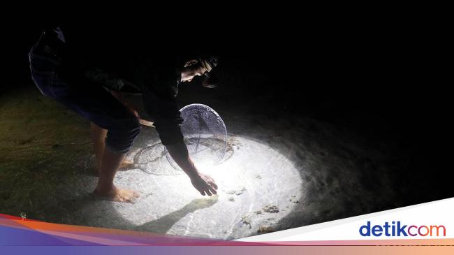 Melihat Aktivitas Warga Natuna Berburu Ikan di Malam Hari - Detiknews