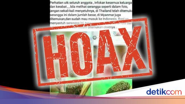 Hoax Serangga Misterius Bikin Tangan Bolong Nggak Kuat Jangan Lihat