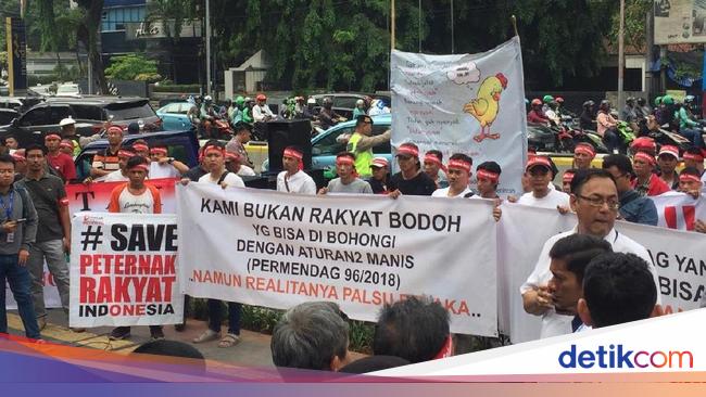  Harga  Ayam Anjlok Ratusan Peternak Ayam Geruduk Kantor Mendag