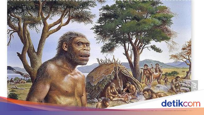 Jaman neolithikum merupakan era revolusi dalam kehidupan masyarakat pra sejarah indonesia yaitu peru