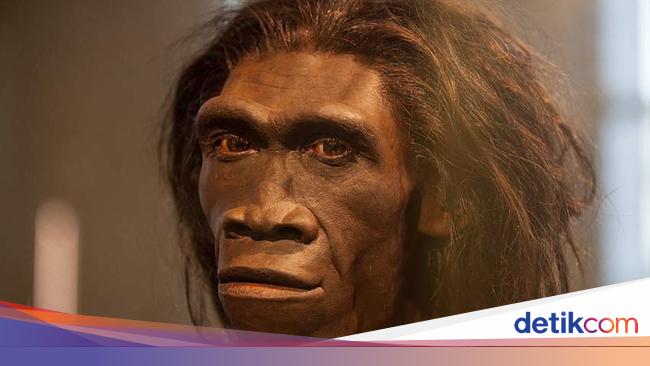 Fosil tertua yang ditemukan di indonesia adalah fosil