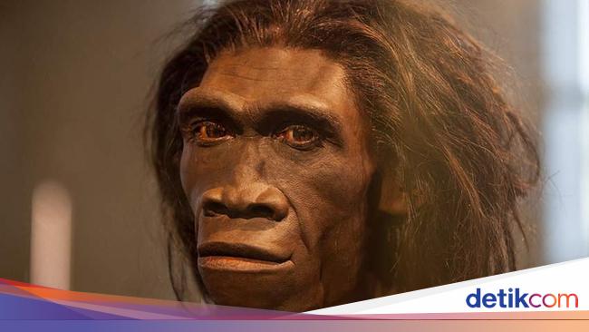 Fosil Tertua Nenek Moyang Manusia Ditemukan Fosil Tertua Nenek Moyang Manusia Ditemukan