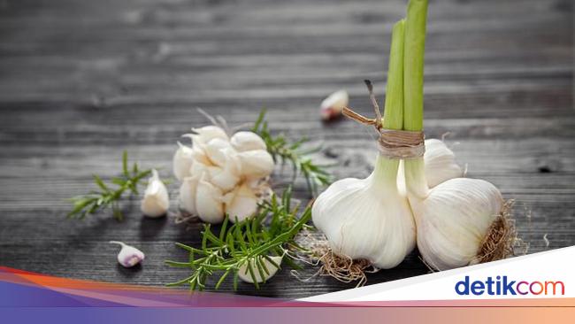 Begini Cara Menanam Bawang Putih Di Rumah Begini Cara Menanam Bawang Putih Di Rumah